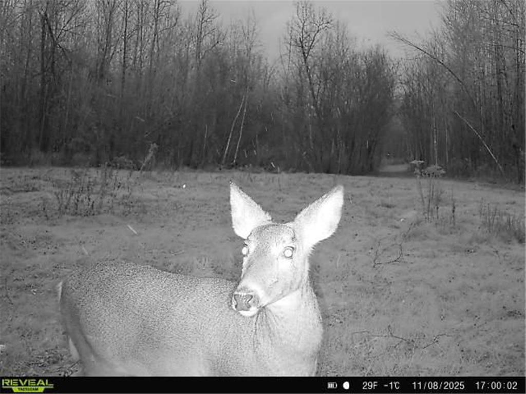 TBDxx State Hwy 65 Verdon Twp MN 55752 - Mississippi 6811415 image15