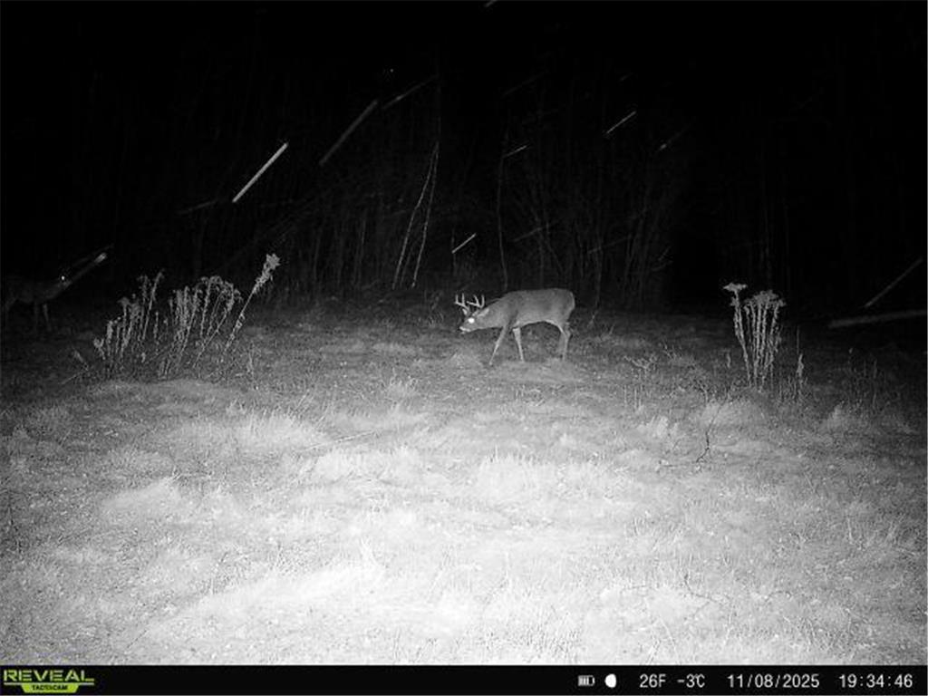 TBDxx State Hwy 65 Verdon Twp MN 55752 - Mississippi 6811415 image17