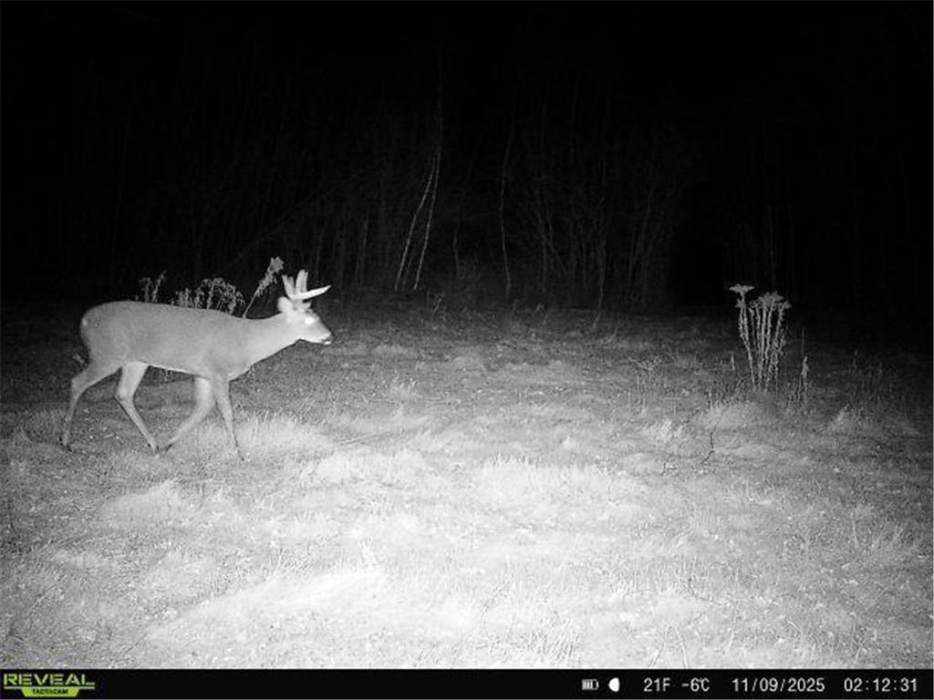 TBDxx State Hwy 65 Verdon Twp MN 55752 - Mississippi 6811415 image19