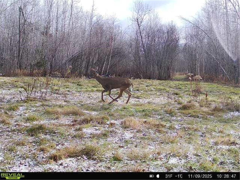 TBDxx State Hwy 65 Verdon Twp MN 55752 - Mississippi 6811415 image21