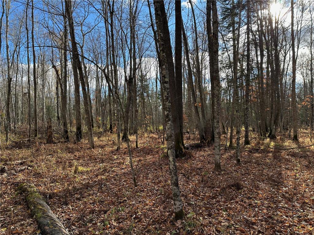 TBDxx State Hwy 65 Verdon Twp MN 55752 - Mississippi 6811415 image22