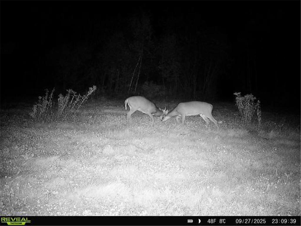 TBDxx State Hwy 65 Verdon Twp MN 55752 - Mississippi 6811415 image23