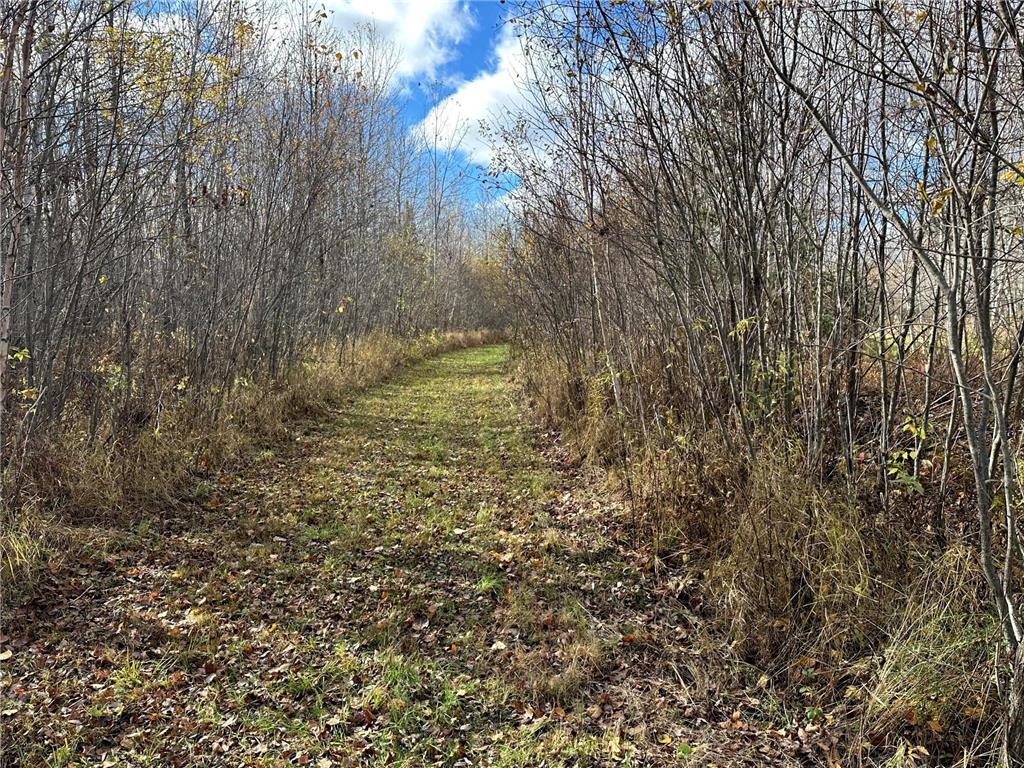 TBDxx State Hwy 65 Verdon Twp MN 55752 - Mississippi 6811415 image24