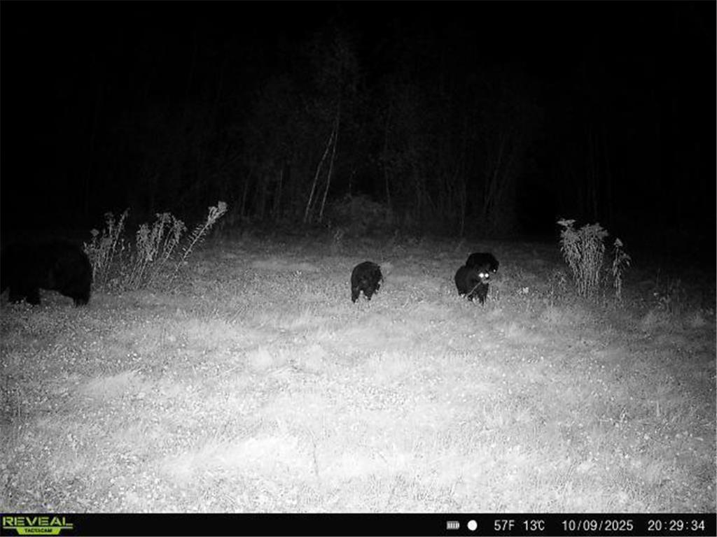 TBDxx State Hwy 65 Verdon Twp MN 55752 - Mississippi 6811415 image25