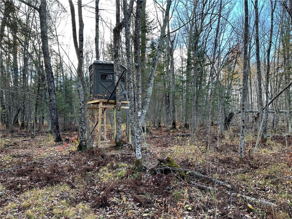 TBDxx State Hwy 65 Verdon Twp MN 55752 - Mississippi 6811415 image26