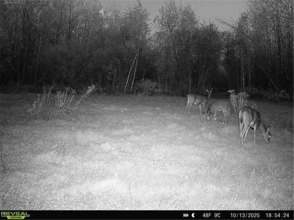 TBDxx State Hwy 65 Verdon Twp MN 55752 - Mississippi 6811415 image27