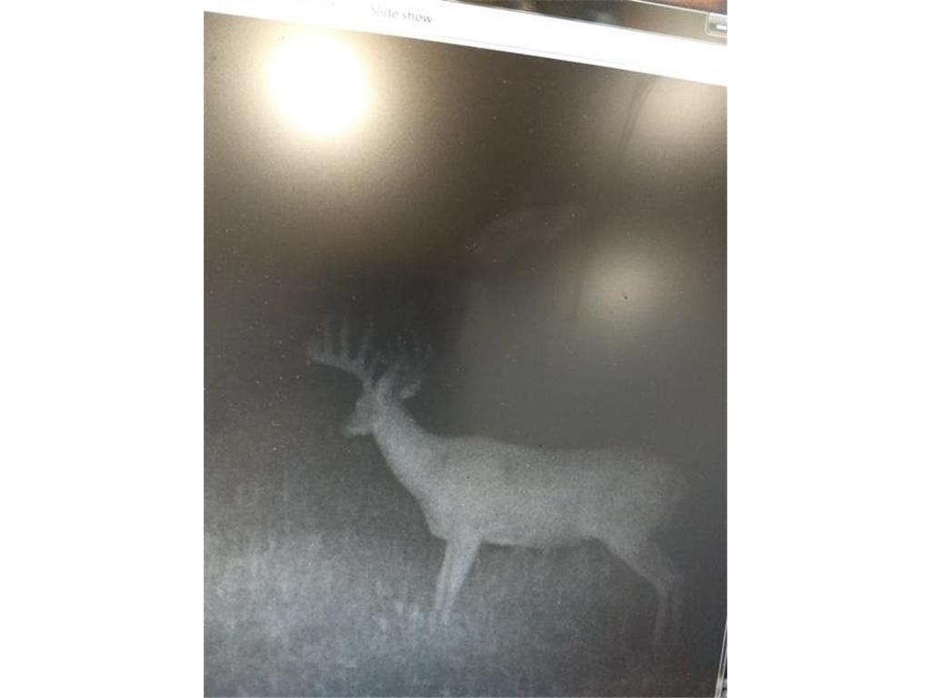 TBDxx State Hwy 65 Verdon Twp MN 55752 - Mississippi 6811415 image29