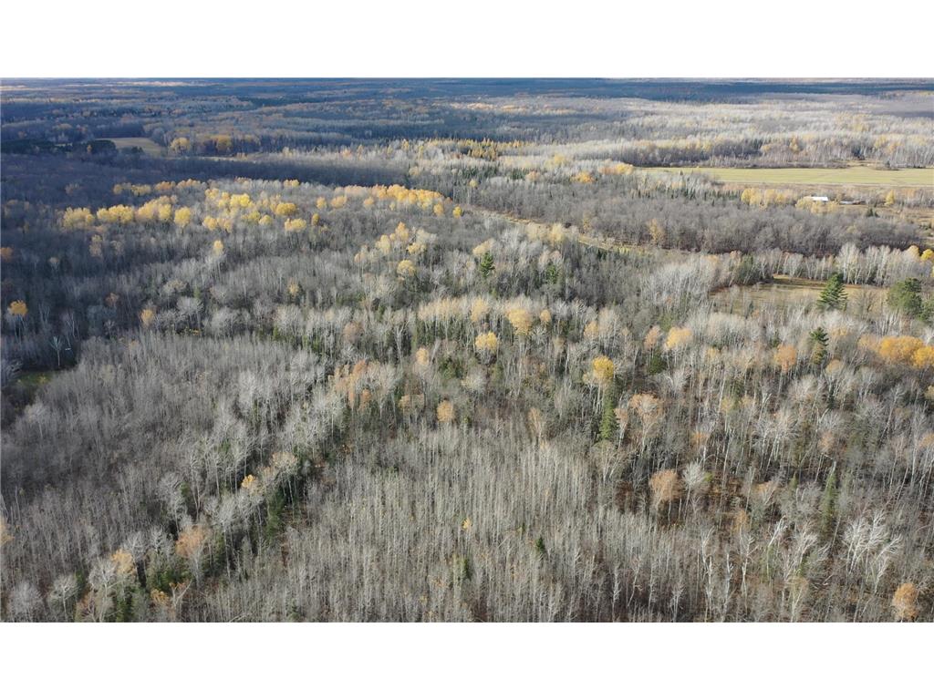 TBDxx State Hwy 65 Verdon Twp MN 55752 - Mississippi 6811415 image3