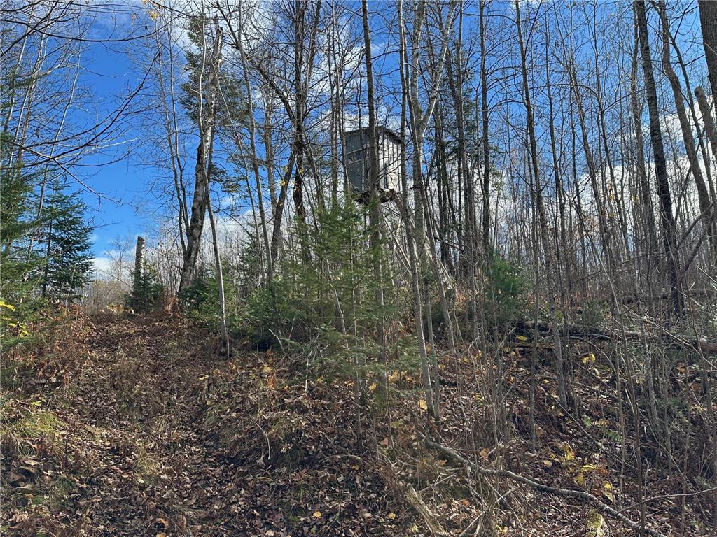 TBDxx State Hwy 65 Verdon Twp MN 55752 - Mississippi 6811415 image30