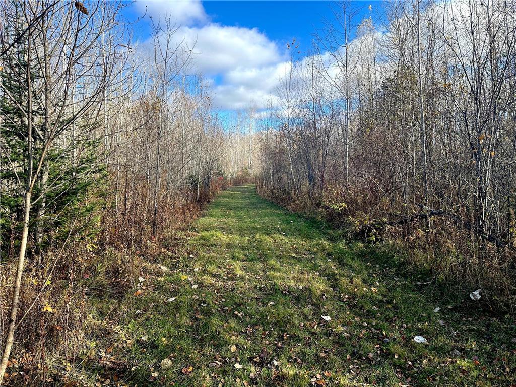 TBDxx State Hwy 65 Verdon Twp MN 55752 - Mississippi 6811415 image33