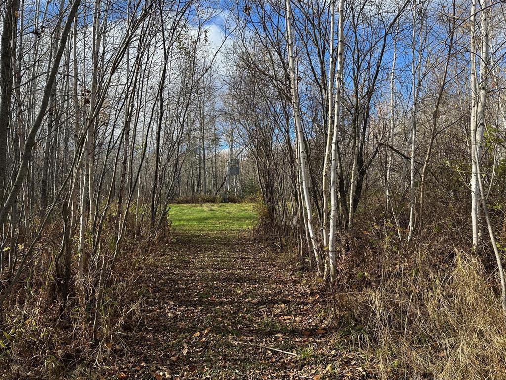 TBDxx State Hwy 65 Verdon Twp MN 55752 - Mississippi 6811415 image34