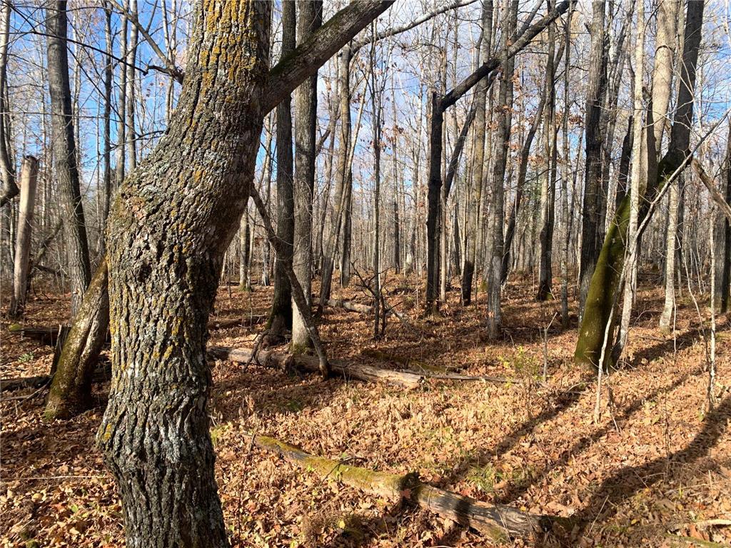 TBDxx State Hwy 65 Verdon Twp MN 55752 - Mississippi 6811415 image35