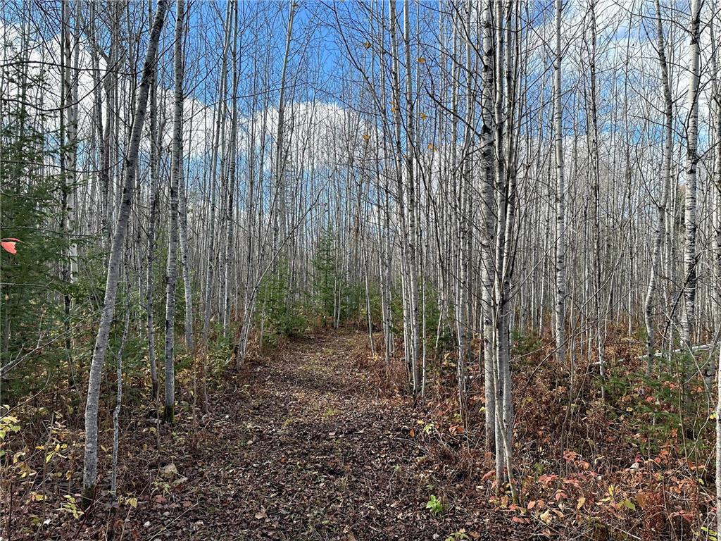 TBDxx State Hwy 65 Verdon Twp MN 55752 - Mississippi 6811415 image38