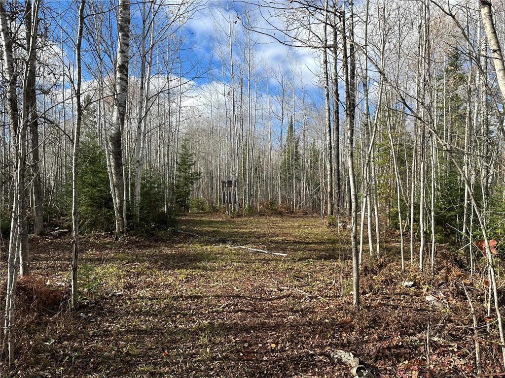 TBDxx State Hwy 65 Verdon Twp MN 55752 - Mississippi 6811415 image39