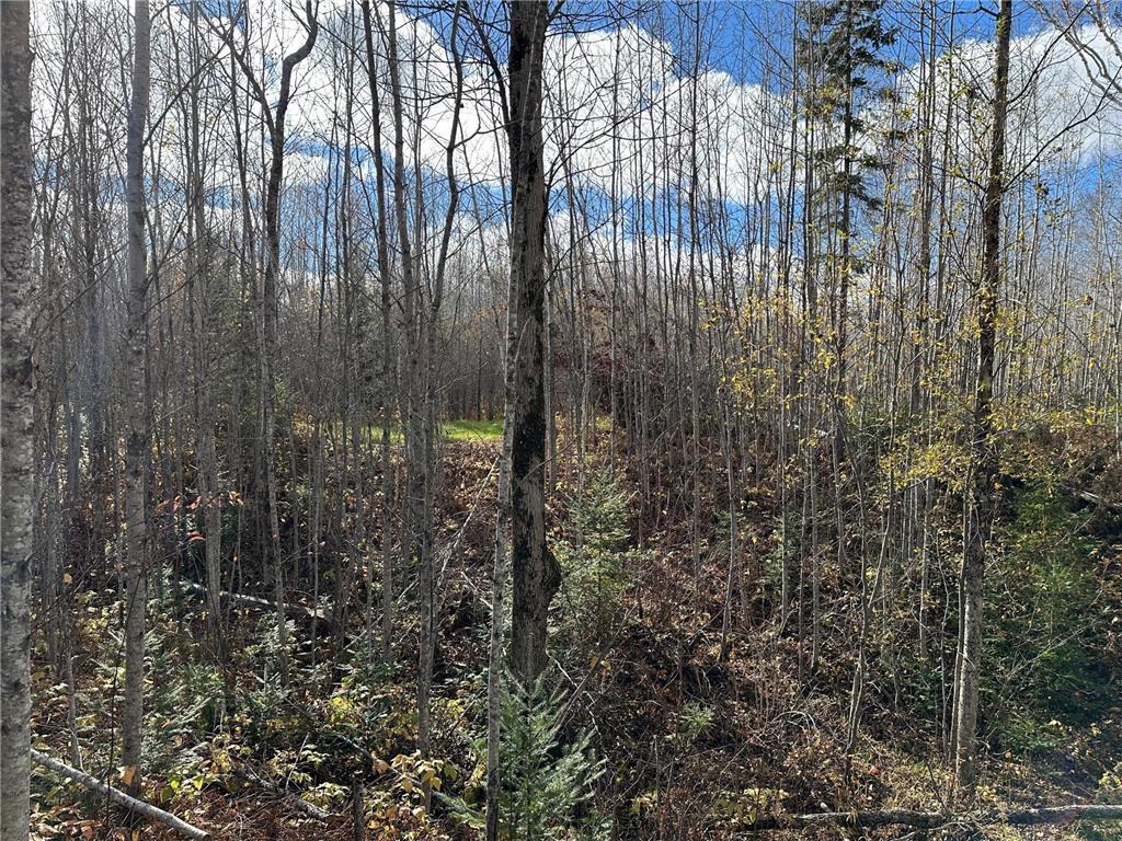 TBDxx State Hwy 65 Verdon Twp MN 55752 - Mississippi 6811415 image40