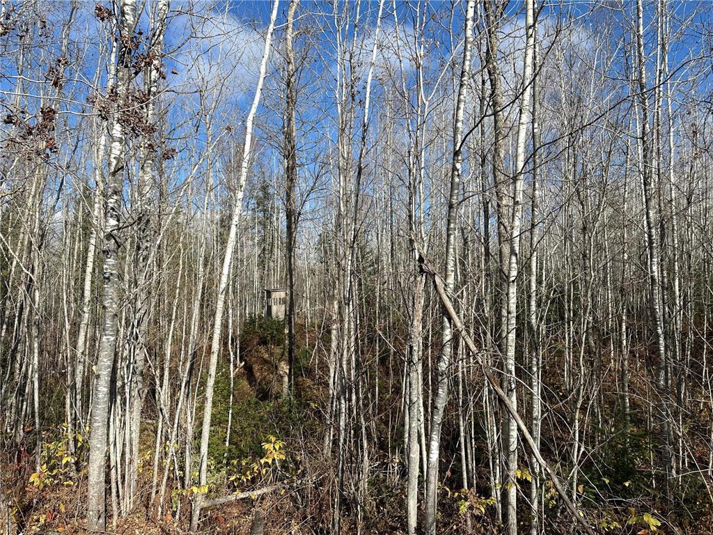 TBDxx State Hwy 65 Verdon Twp MN 55752 - Mississippi 6811415 image42