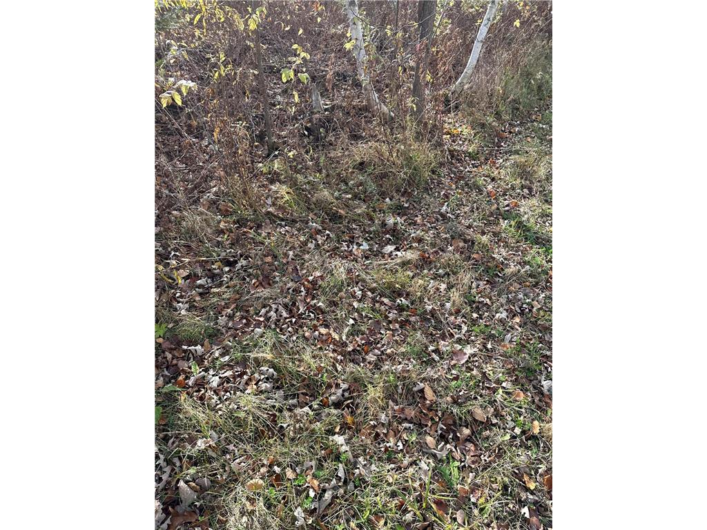 TBDxx State Hwy 65 Verdon Twp MN 55752 - Mississippi 6811415 image43