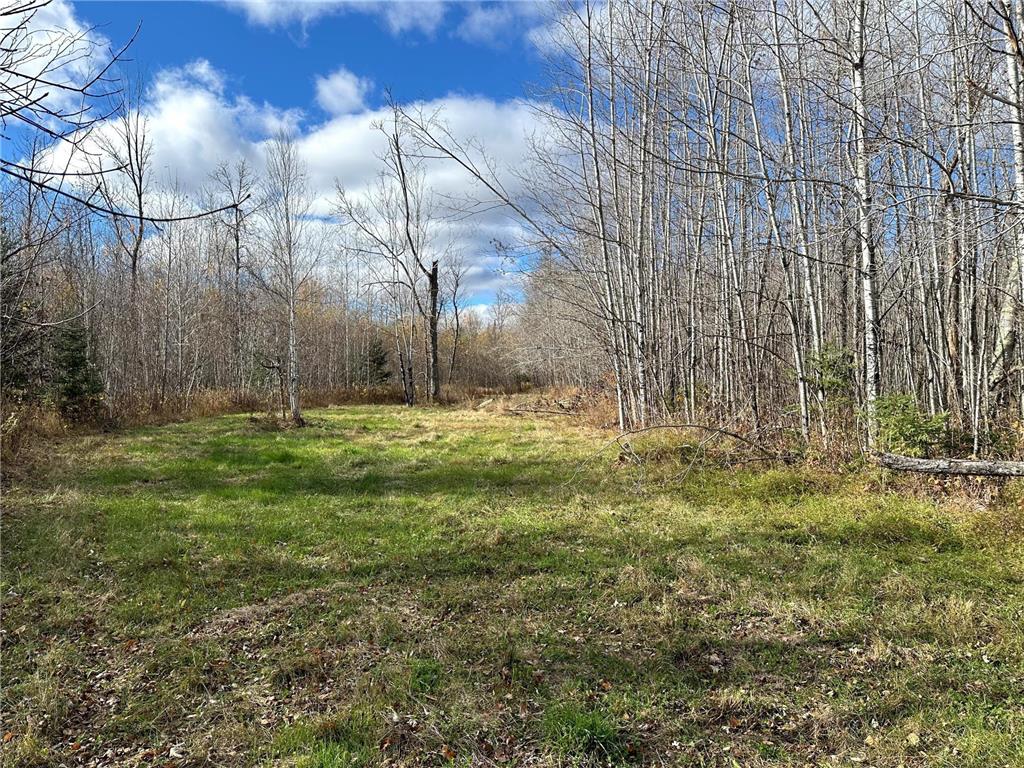 TBDxx State Hwy 65 Verdon Twp MN 55752 - Mississippi 6811415 image44