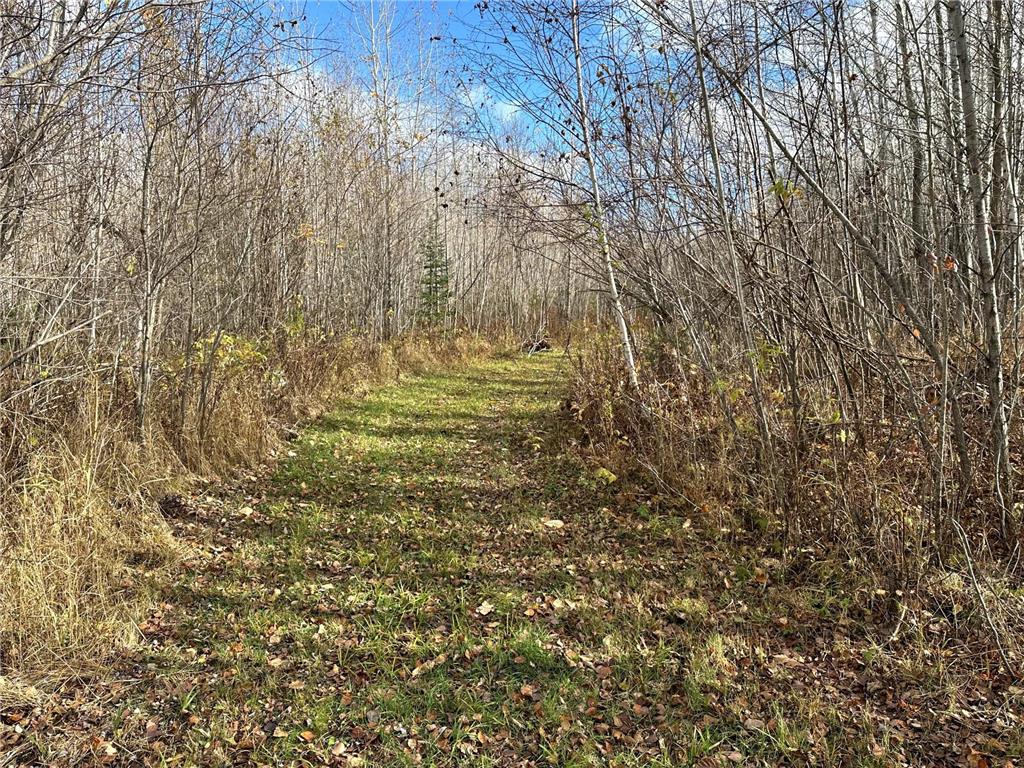 TBDxx State Hwy 65 Verdon Twp MN 55752 - Mississippi 6811415 image45