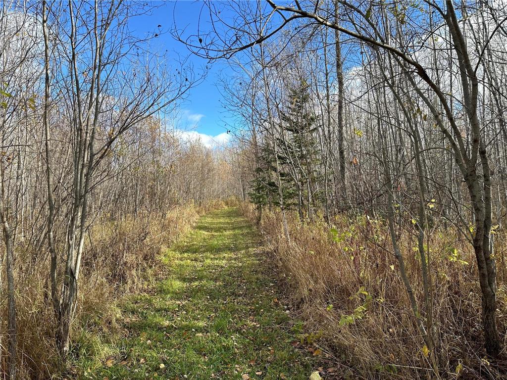 TBDxx State Hwy 65 Verdon Twp MN 55752 - Mississippi 6811415 image46