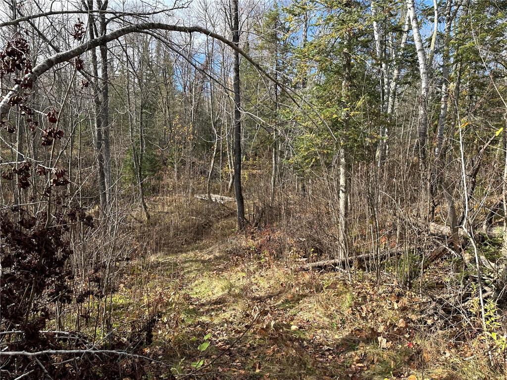 TBDxx State Hwy 65 Verdon Twp MN 55752 - Mississippi 6811415 image47