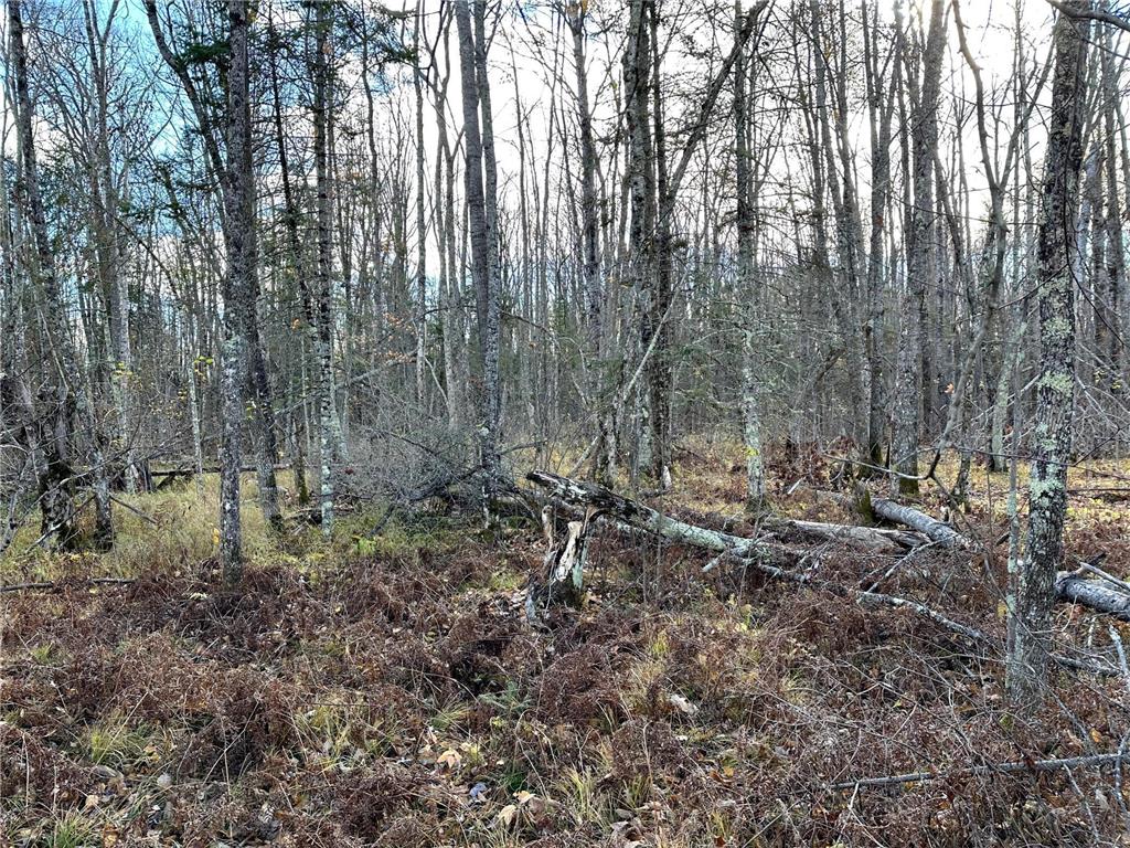 TBDxx State Hwy 65 Verdon Twp MN 55752 - Mississippi 6811415 image49