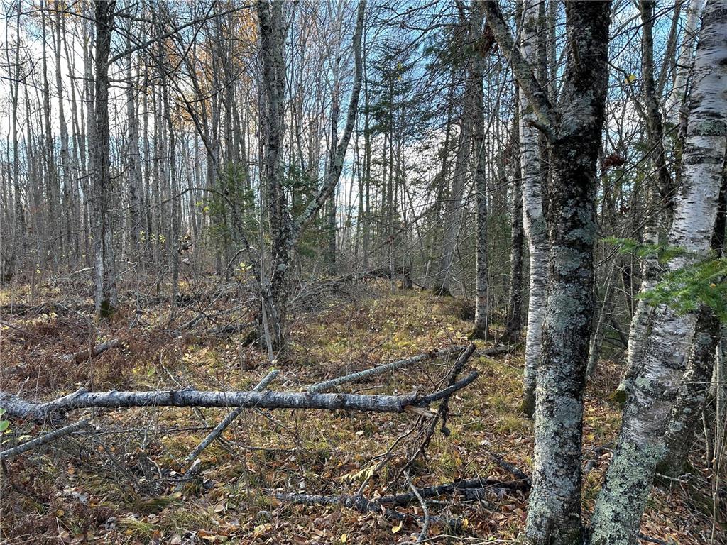 TBDxx State Hwy 65 Verdon Twp MN 55752 - Mississippi 6811415 image50