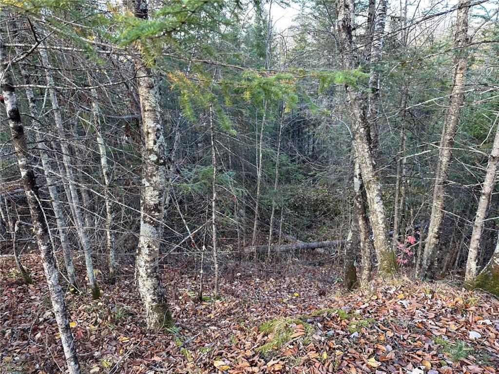 TBDxx State Hwy 65 Verdon Twp MN 55752 - Mississippi 6811415 image51