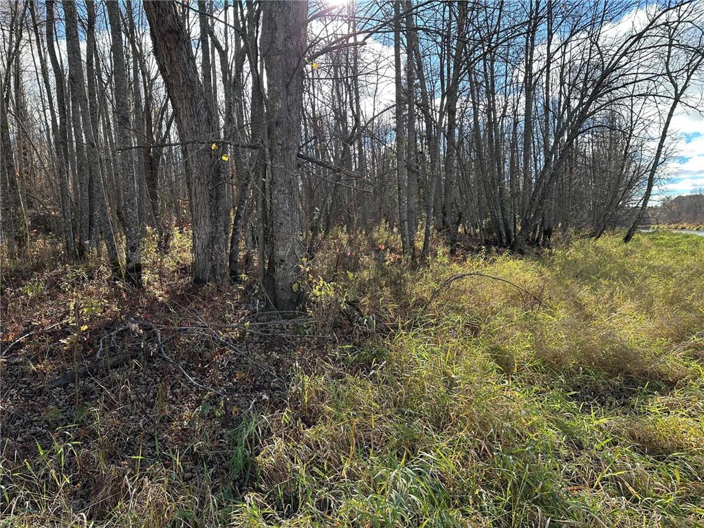 TBDxx State Hwy 65 Verdon Twp MN 55752 - Mississippi 6811415 image54