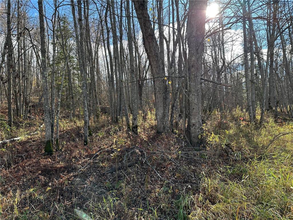 TBDxx State Hwy 65 Verdon Twp MN 55752 - Mississippi 6811415 image55