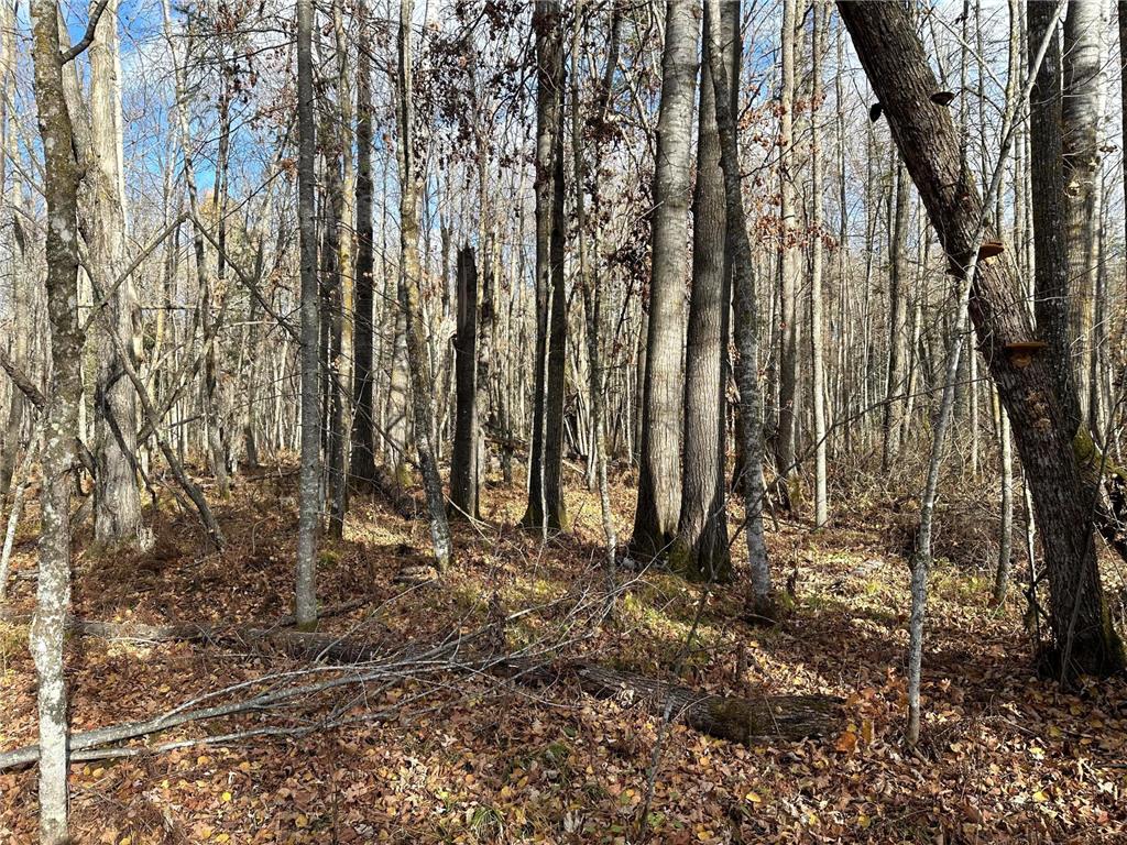 TBDxx State Hwy 65 Verdon Twp MN 55752 - Mississippi 6811415 image56