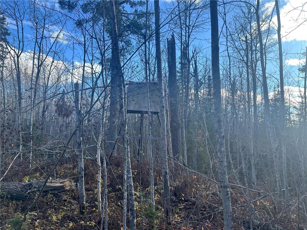 TBDxx State Hwy 65 Verdon Twp MN 55752 - Mississippi 6811415 image57