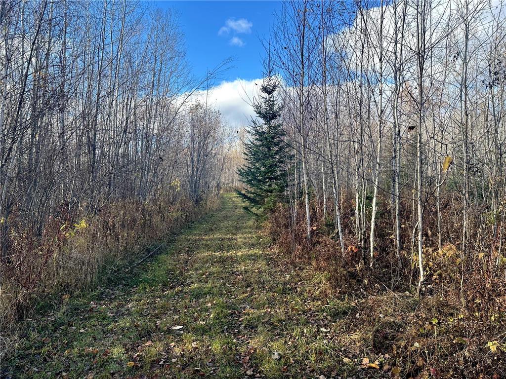 TBDxx State Hwy 65 Verdon Twp MN 55752 - Mississippi 6811415 image58