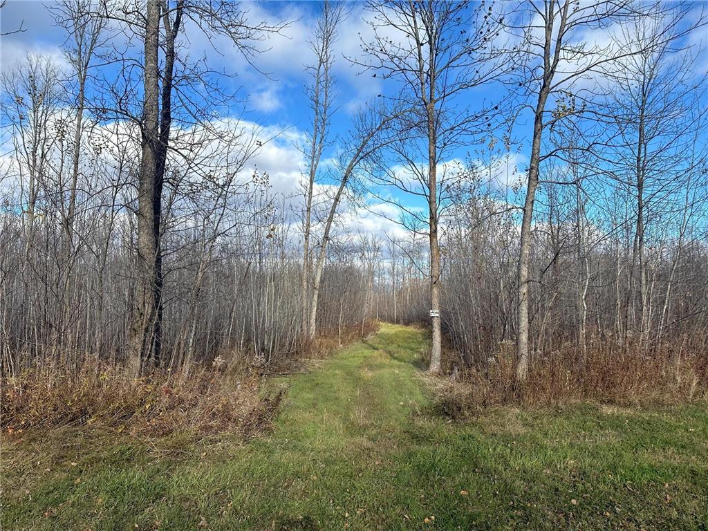 TBDxx State Hwy 65 Verdon Twp MN 55752 - Mississippi 6811415 image60