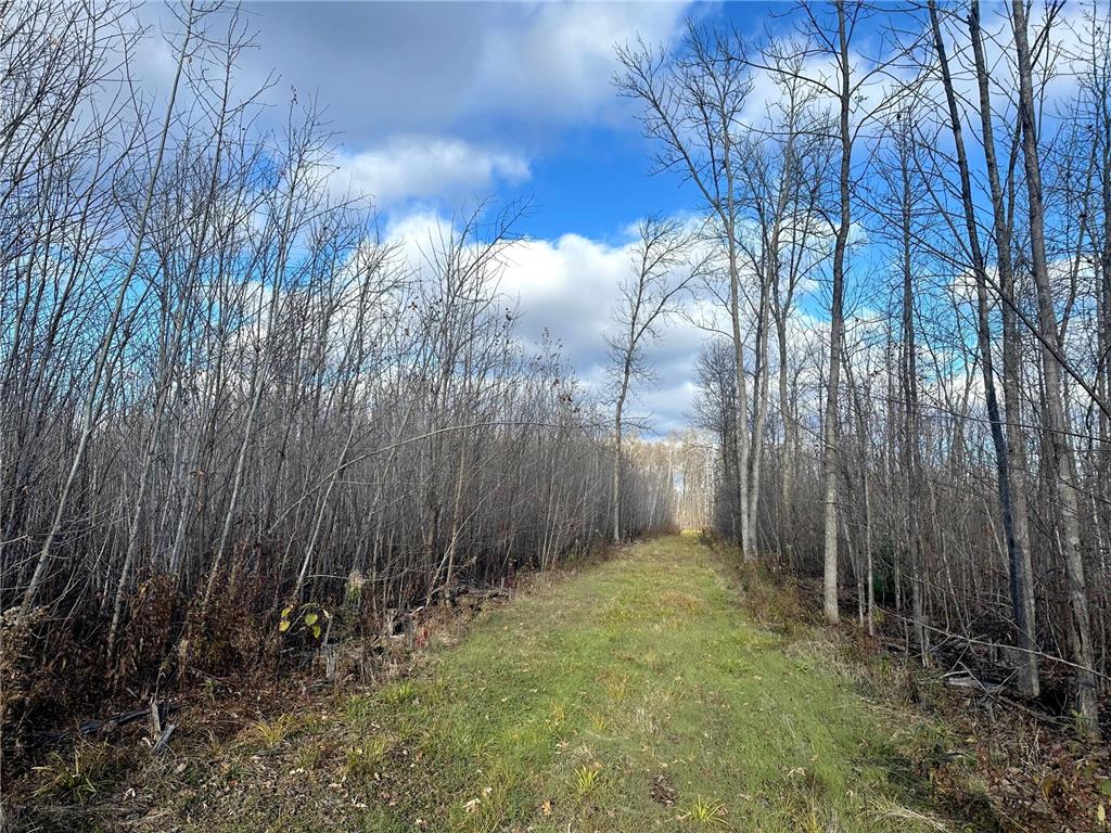 TBDxx State Hwy 65 Verdon Twp MN 55752 - Mississippi 6811415 image61