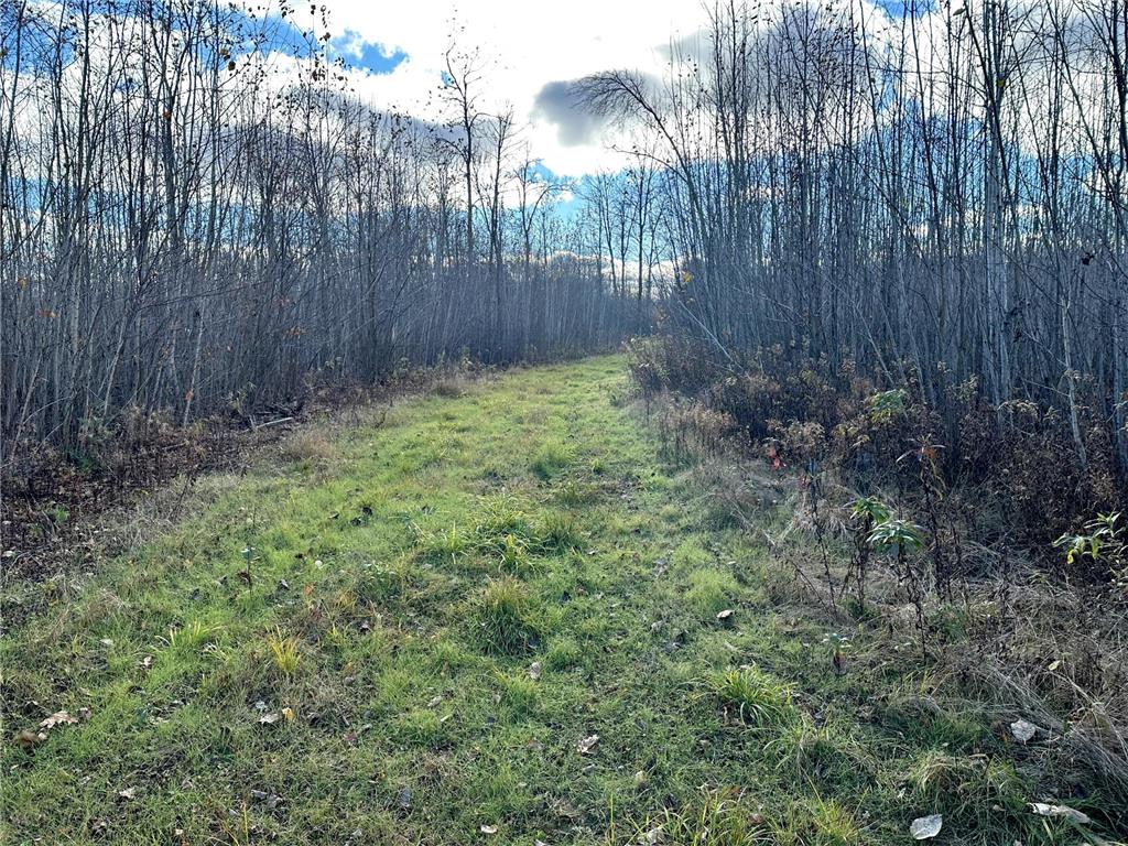 TBDxx State Hwy 65 Verdon Twp MN 55752 - Mississippi 6811415 image62