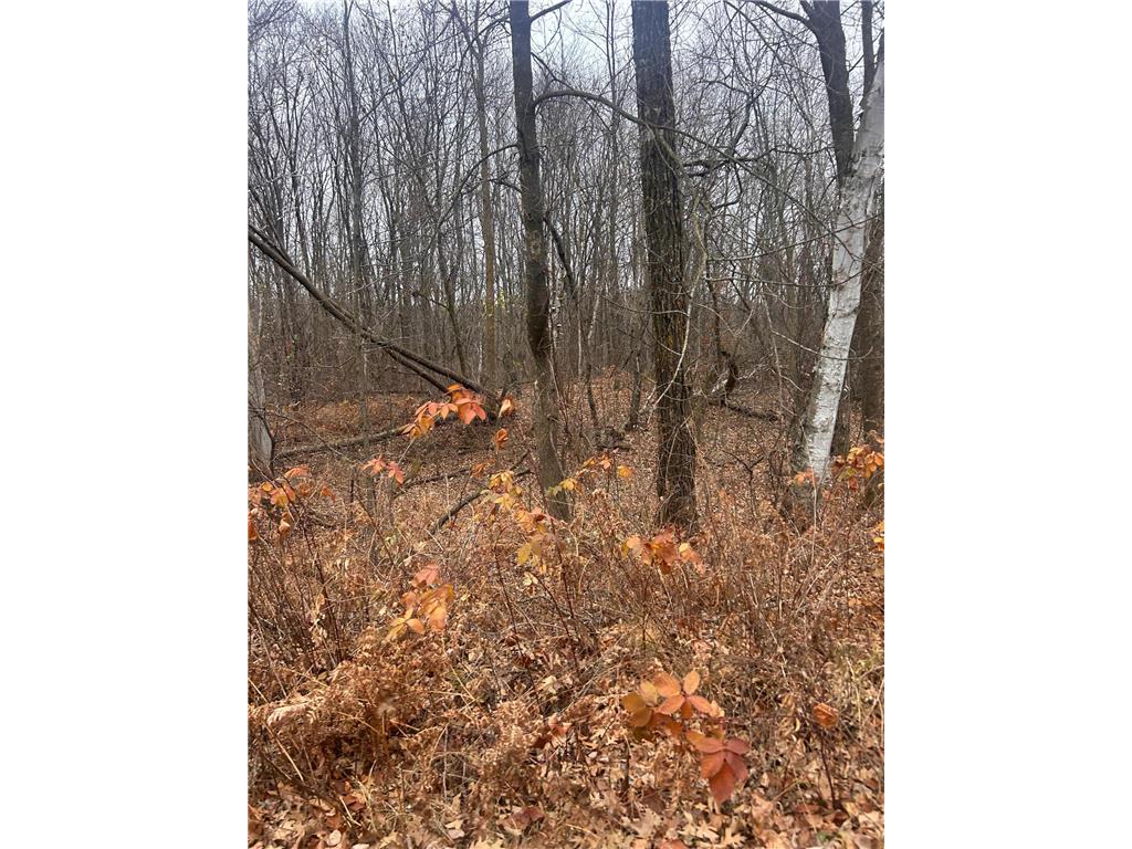 TBDxxx Golf Course Dr Cushing Twp MN 56443 6819889 image1