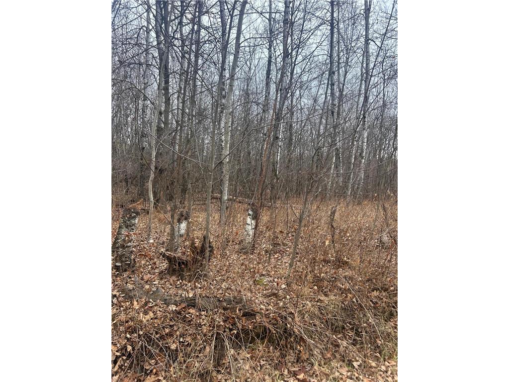 TBDxxxx Golf Course Dr Cushing Twp MN 56443 6819931 image1