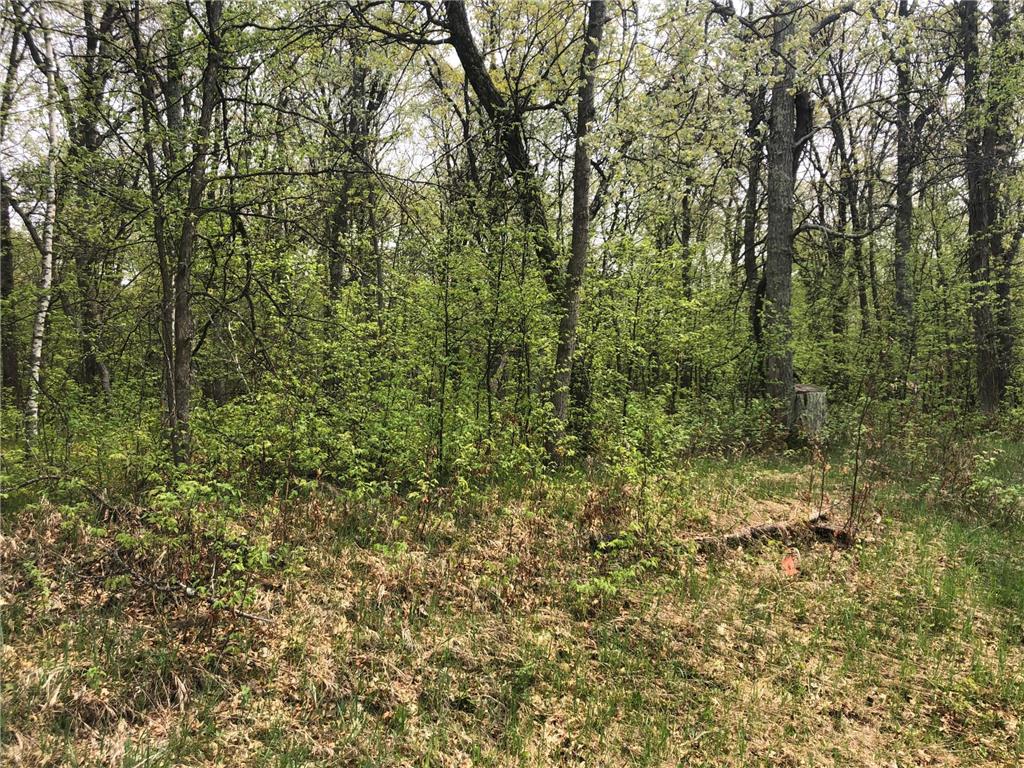 TBT Pawnee Circle Breezy Point MN 56472 6372083 image1