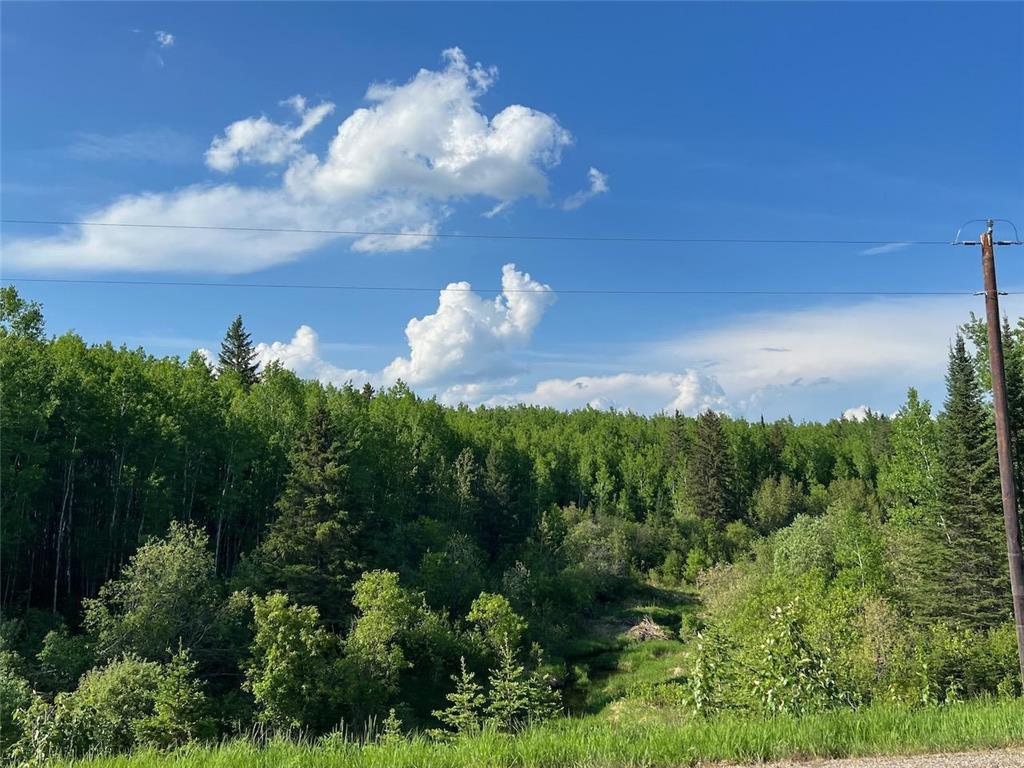 TD Willow River Rd Greaney MN 55771 6380529 image1