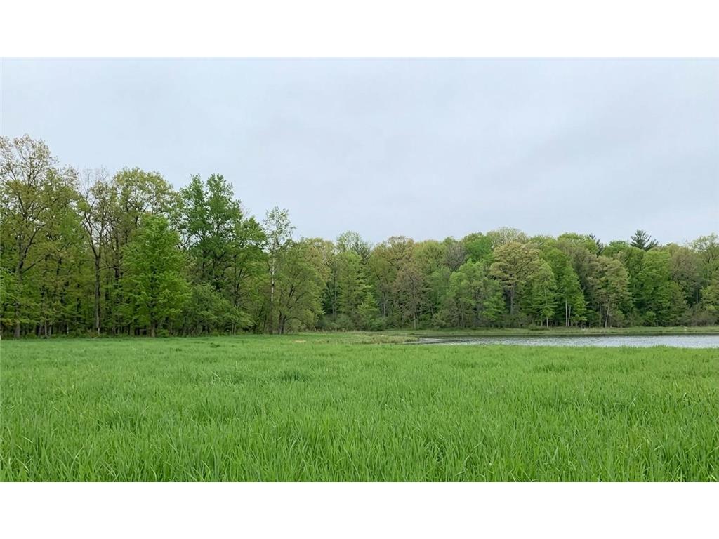 TDB County Rd 453 Trout Lake Twp MN 55709 - Blackberry 7058881 image3