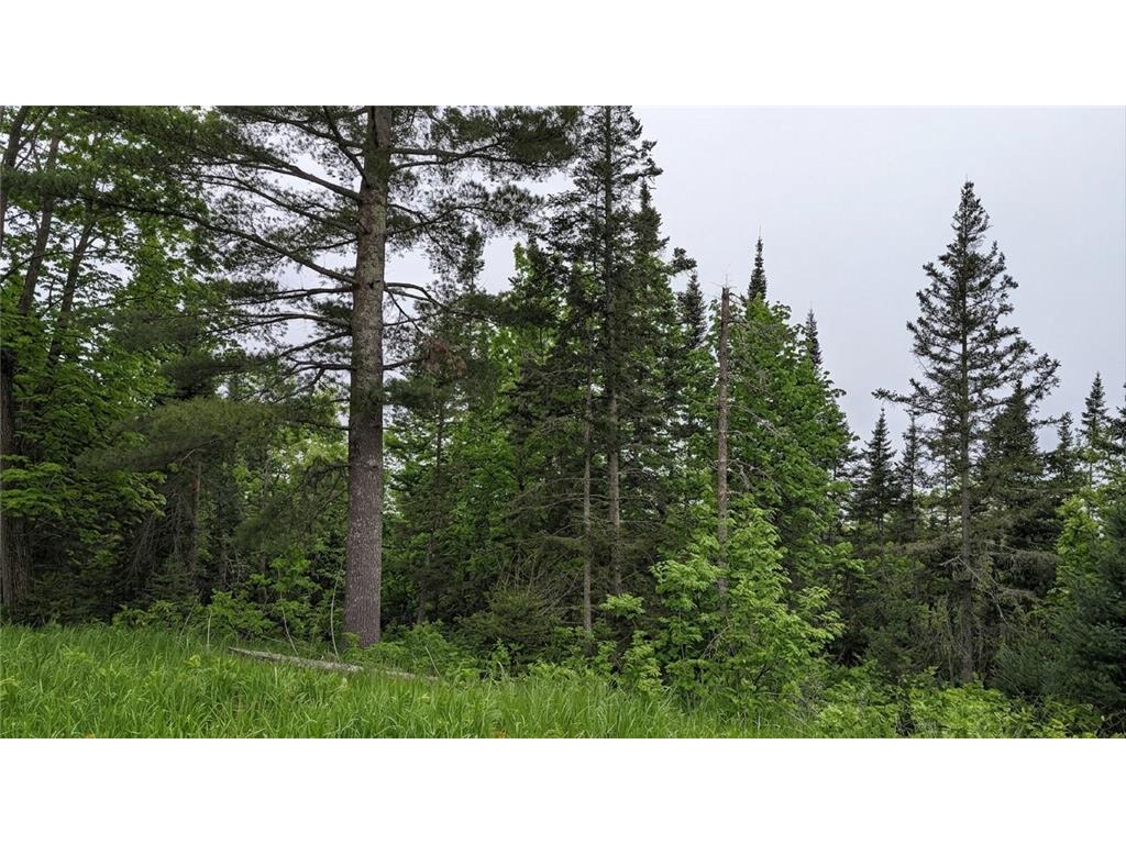 TDB County Rd 453 Trout Lake Twp MN 55709 - Blackberry 7058881 image6