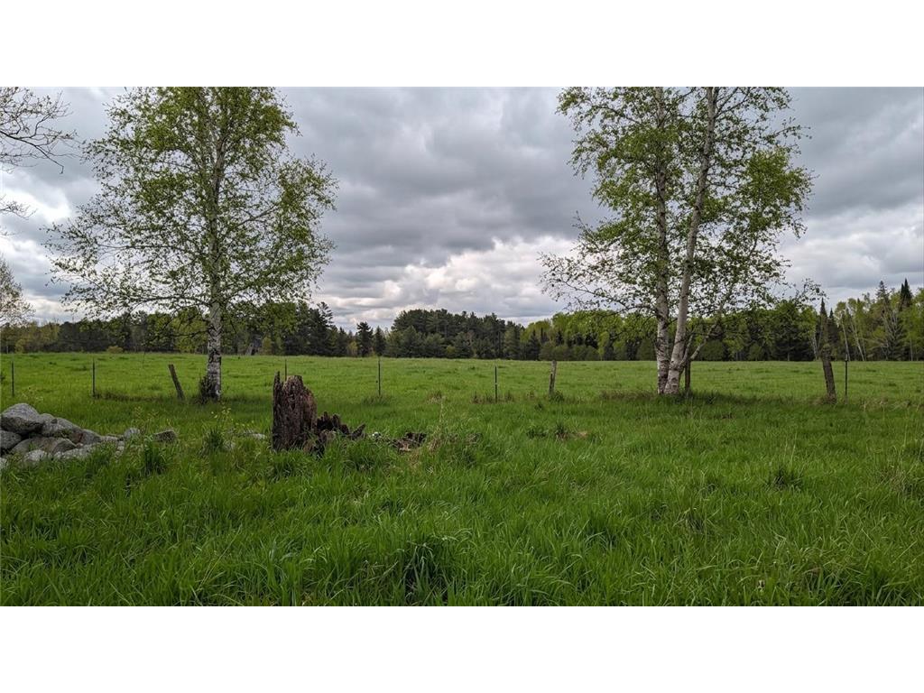 TDB County Rd 453 Trout Lake Twp MN 55709 - Blackberry 7058881 image7