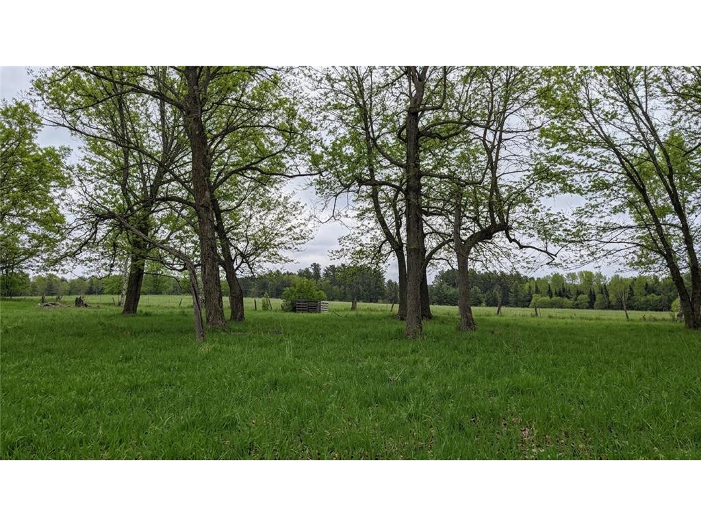 TDB County Rd 453 Trout Lake Twp MN 55709 - Blackberry 7058881 image8