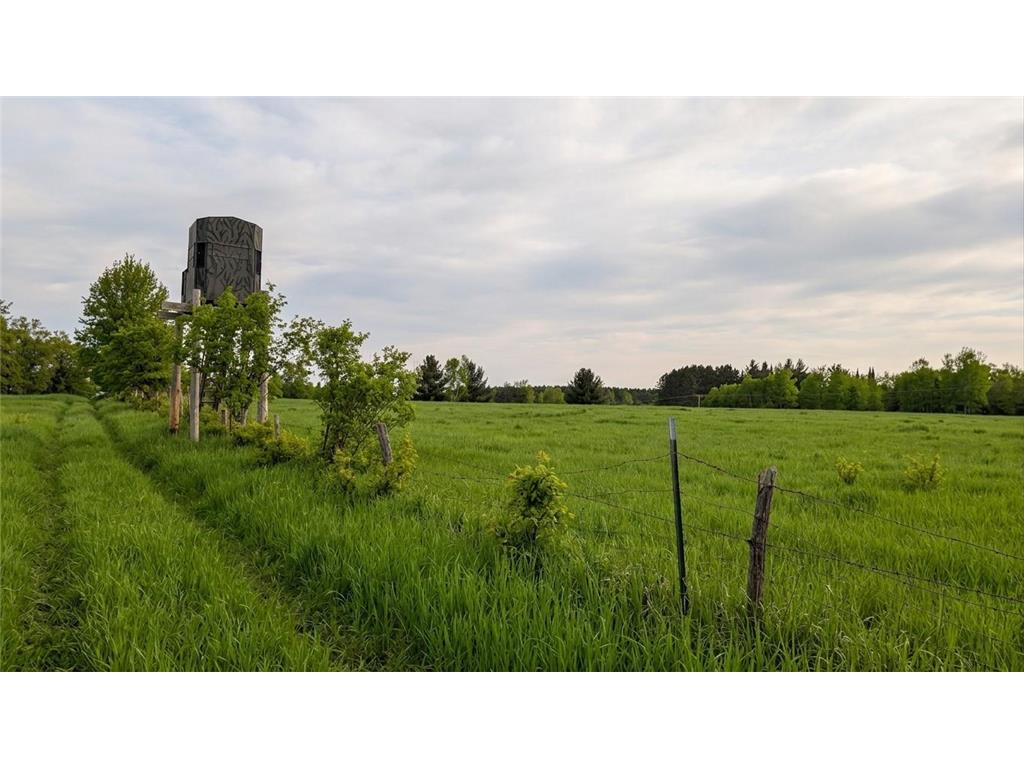 TDB County Rd 453 Trout Lake Twp MN 55709 - Blackberry 7058881 image9