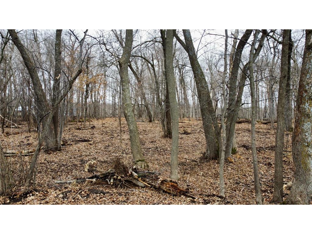 TRACT B Linden Street Garrison MN 56450 - Mille Lacs Lake 7050762 image20