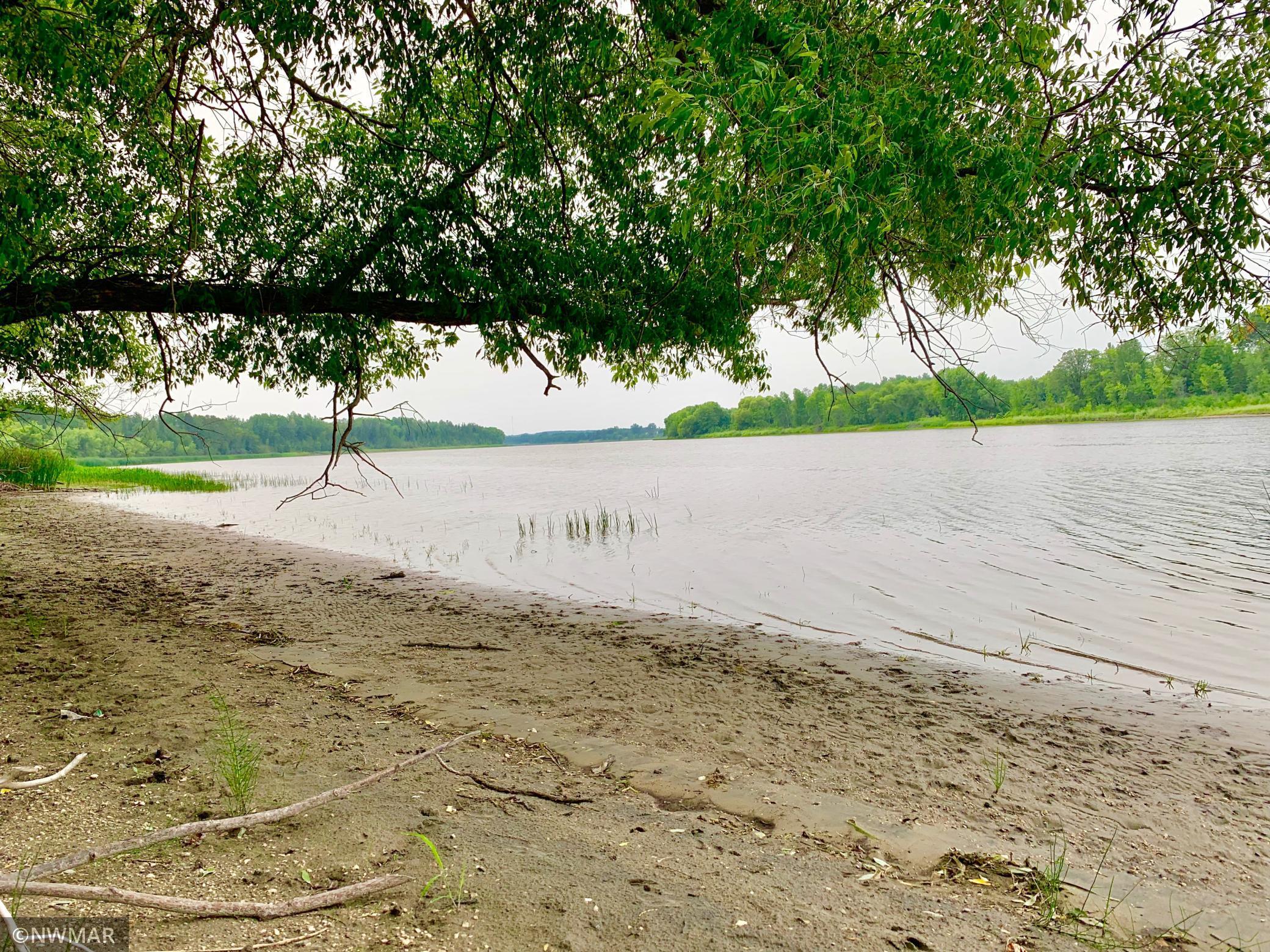 TRACT B UT Road 140 Birchdale MN 56629 - Rainy River 6093915 image1