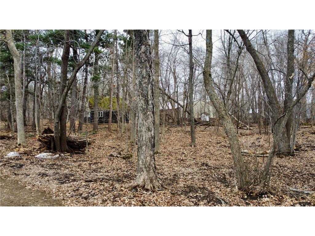 TRACT C Linden Street Garrison MN 56450 - Mille Lacs Lake 7050941 image19