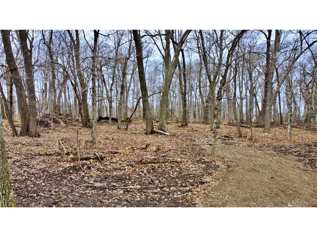 TRACT C Linden Street Garrison MN 56450 - Mille Lacs Lake 7050941 image20