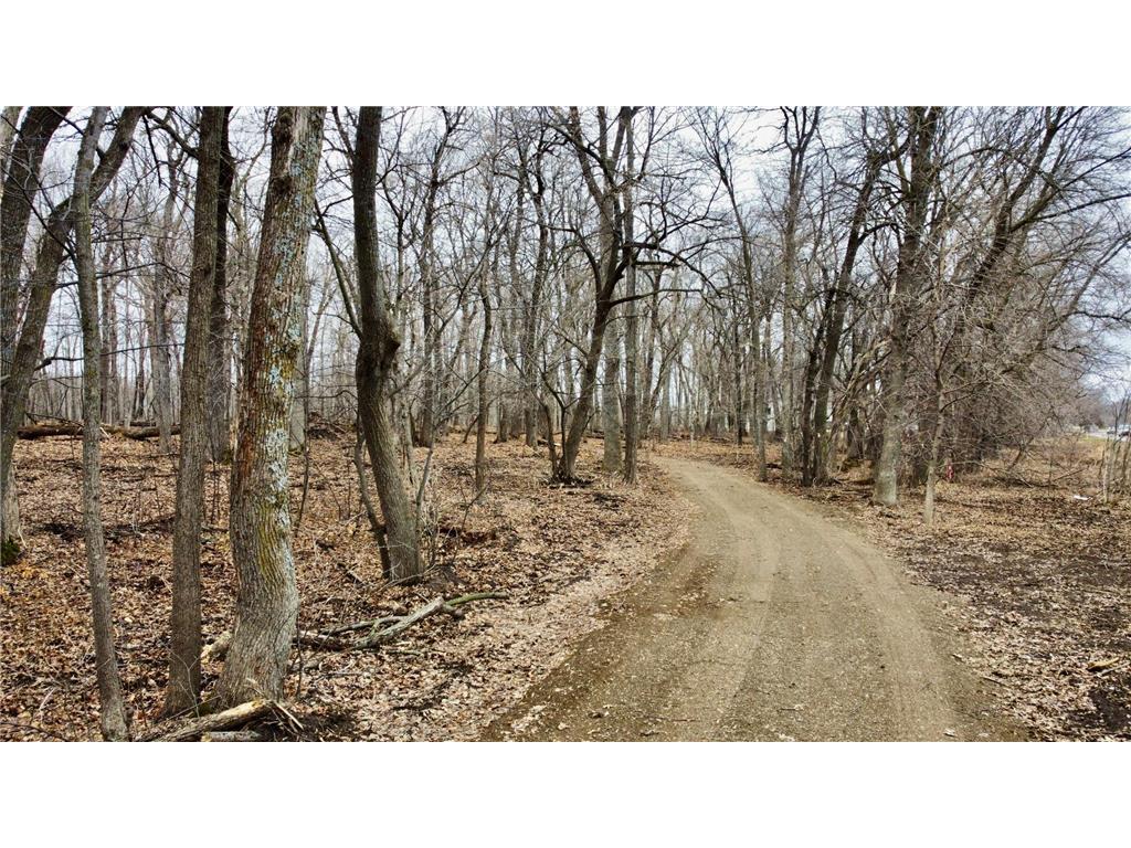 TRACT C Linden Street Garrison MN 56450 - Mille Lacs Lake 7050941 image4